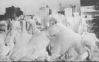 1904 at the Mill District at Niagara Falls 